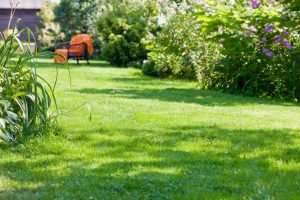 travaux jardin et paysage Les Epesses